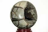 Polished Septarian Geode Sphere - Madagascar #215602-1